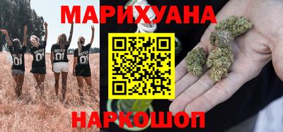 сатива Ставрополь
