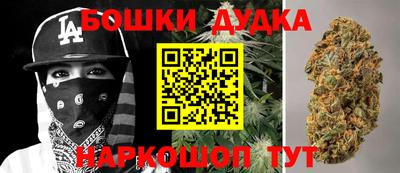 сатива Ставрополь