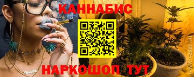 сатива Ставрополь