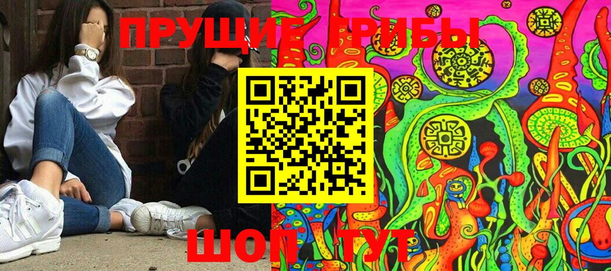 Брянск  Галлюциногенные грибы мухоморы  Галлюциногенные грибы мухоморы  Вход с VPN 
